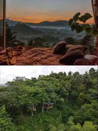峇里島秘境竹屋住體驗🌿｜睡在原始森林看日出