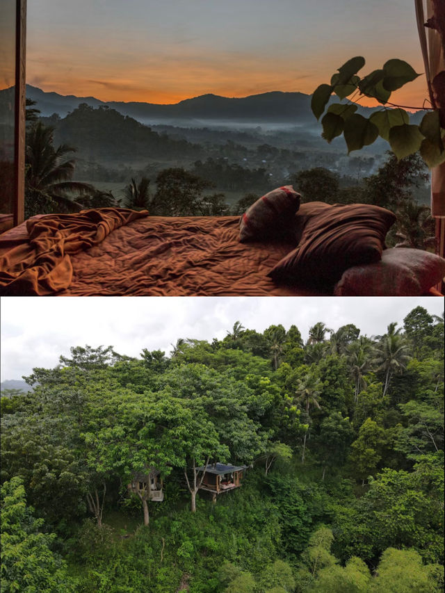 峇里島秘境竹屋住體驗🌿｜睡在原始森林看日出