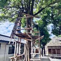 飛機眷村的午後時光——走進「水交社文化園區」
