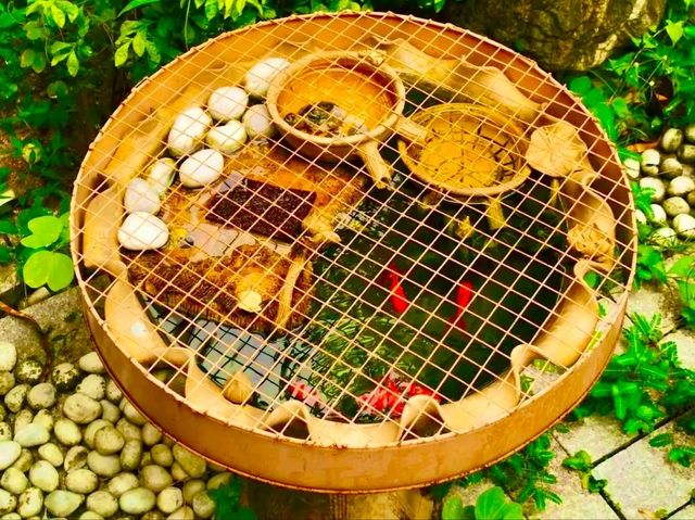 Lin Fa Temple, Tai Hang – A Lotus of Serenity in the City Lin Fa Temple, Tai Hang – A Lotus of Serenity in the City