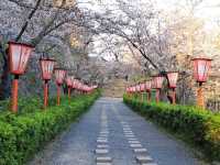 The Castle in the Mist: My Return to Tsuyama Castle