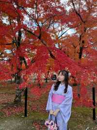 🍁 Autumn Magic in Arashiyama, Kyoto: Your Must-Go Spot!