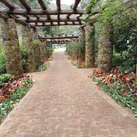 Araluen Botanic Park