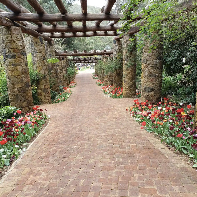 Araluen Botanic Park