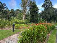 Singapore Botanic Gardens