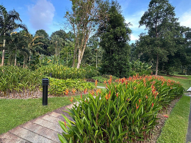 Singapore Botanic Gardens