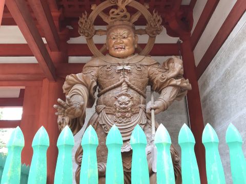 高野山・金剛峯寺🕊️】空海が開いた真言密教の聖地で、心が静まる時間