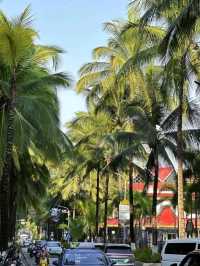 Sunny Xishuangbanna🌞