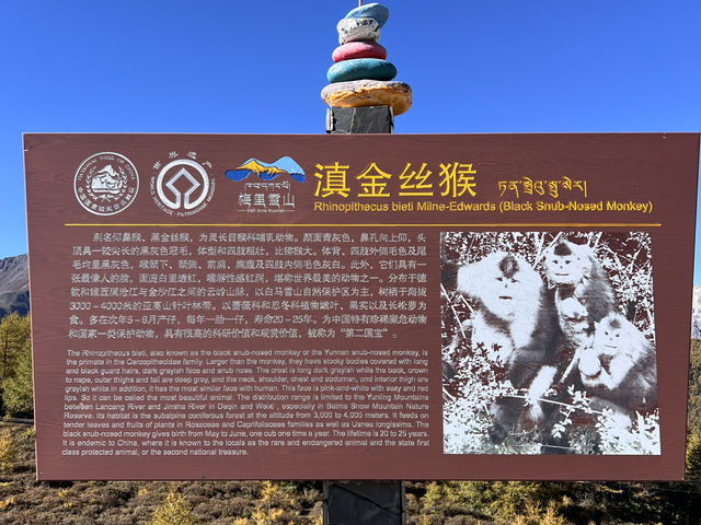 Bai Ma Snow Mountain
