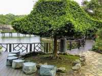 🌄 Dakeng Scenic Area — Taichung’s Natural Adventure Playground