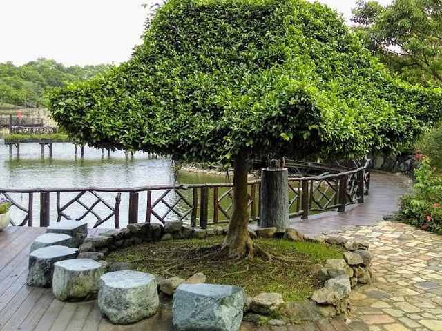 🌄 Dakeng Scenic Area — Taichung’s Natural Adventure Playground