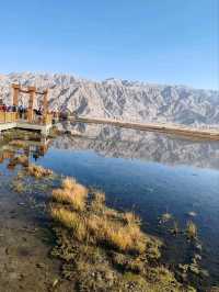 Reflections of Snow Mountains on the Golden Grassland: A Mirror Painting of the Pamir