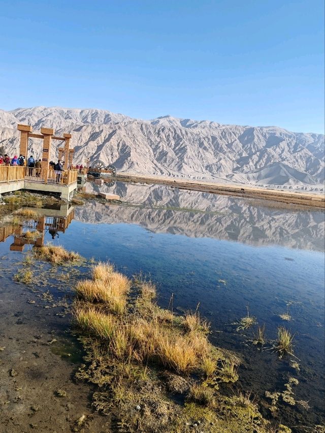 Reflections of Snow Mountains on the Golden Grassland: A Mirror Painting of the Pamir