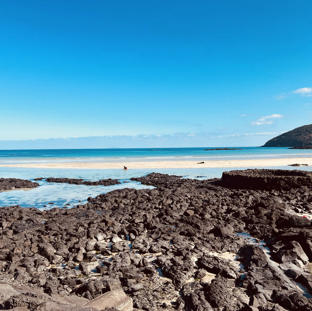 Practical Comfort in a Vibrant Coastal Hub