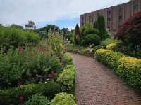 Jeju herb garden