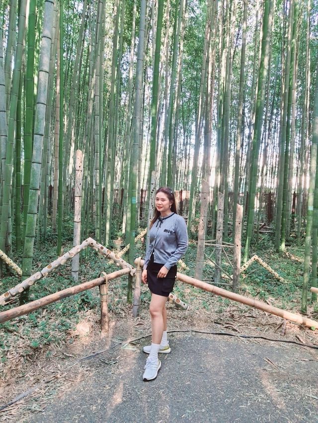 One Day Trip Kyotoหนึ่งวันสุดฟิน เดินสองหมื่นก้าว One Day Trip Kyotoหนึ่งวันสุดฟิน เดินสองหมื่นก้าว
