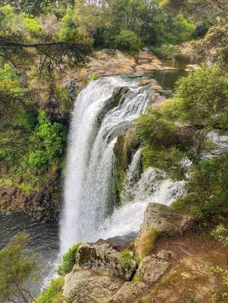 A Splash of Color in a Serene Setting