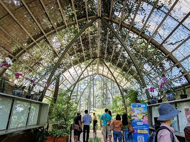 Orchid Forest Cikole, Bandung Orchid Forest Cikole, Bandung