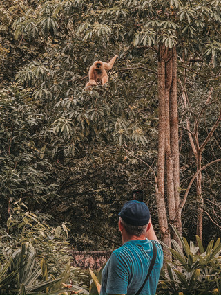 Wild Encounters Up Close – Open Zoo @ Vinpearl Safari Phu Quoc