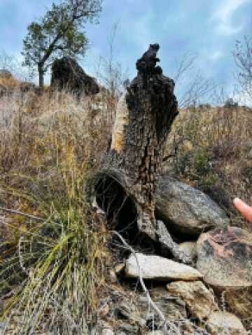 🌄 Ventana Canyon – Tucson’s Scenic Desert Escape🌿