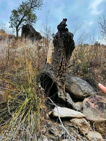 🌄 Ventana Canyon – Tucson’s Scenic Desert Escape🌿