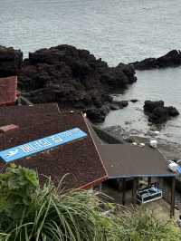 济州岛自然美景与烟火美食交织的舒心体验 💗