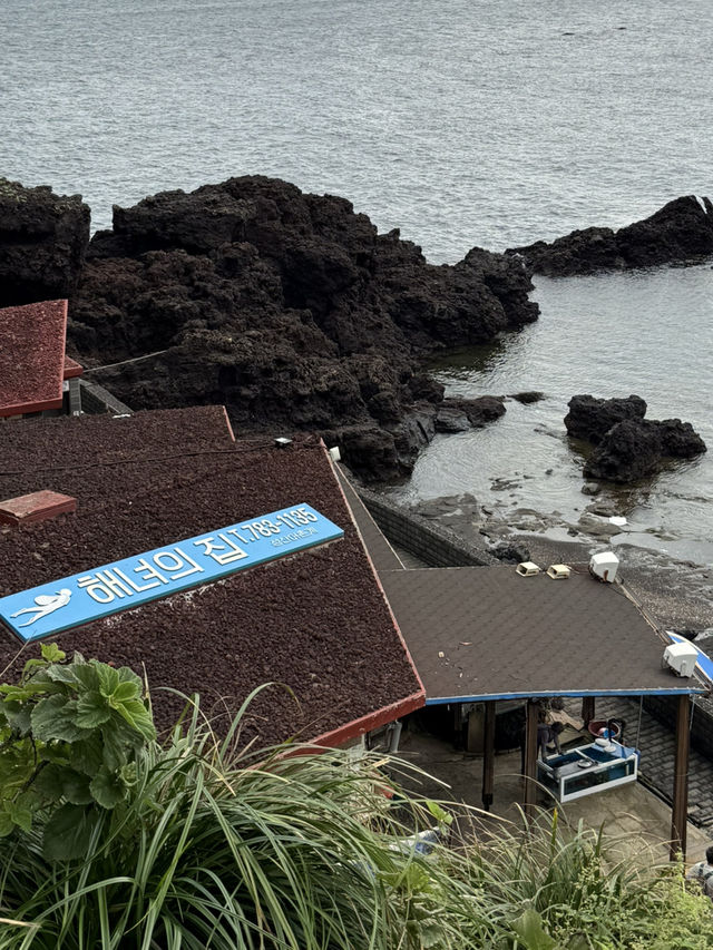 济州岛自然美景与烟火美食交织的舒心体验 💗 济州岛自然美景与烟火美食交织的舒心体验 💗