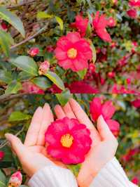 ์ ์ฃผ ๋๋ฐฑ ํ์๋ก ๊ฐ์ผํ๋ ๊ณณ๐บ