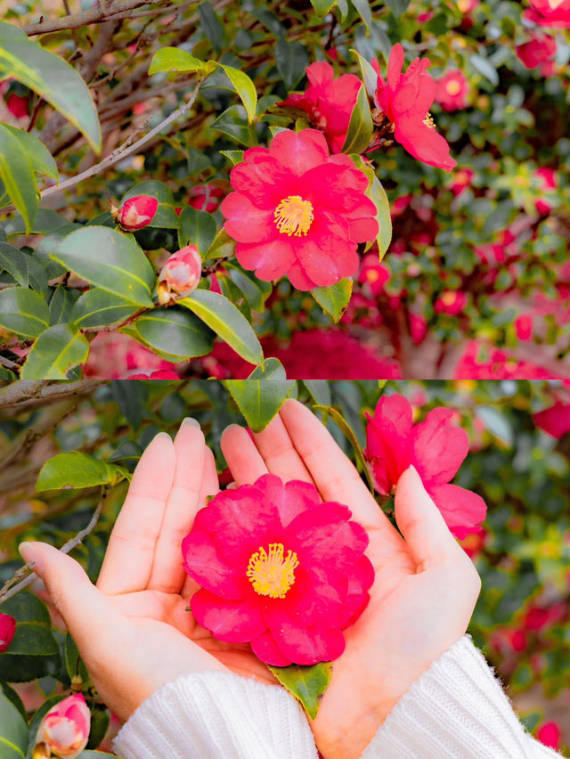 ์ ์ฃผ ๋๋ฐฑ ํ์๋ก ๊ฐ์ผํ๋ ๊ณณ๐บ ์ ์ฃผ ๋๋ฐฑ ํ์๋ก ๊ฐ์ผํ๋ ๊ณณ๐บ