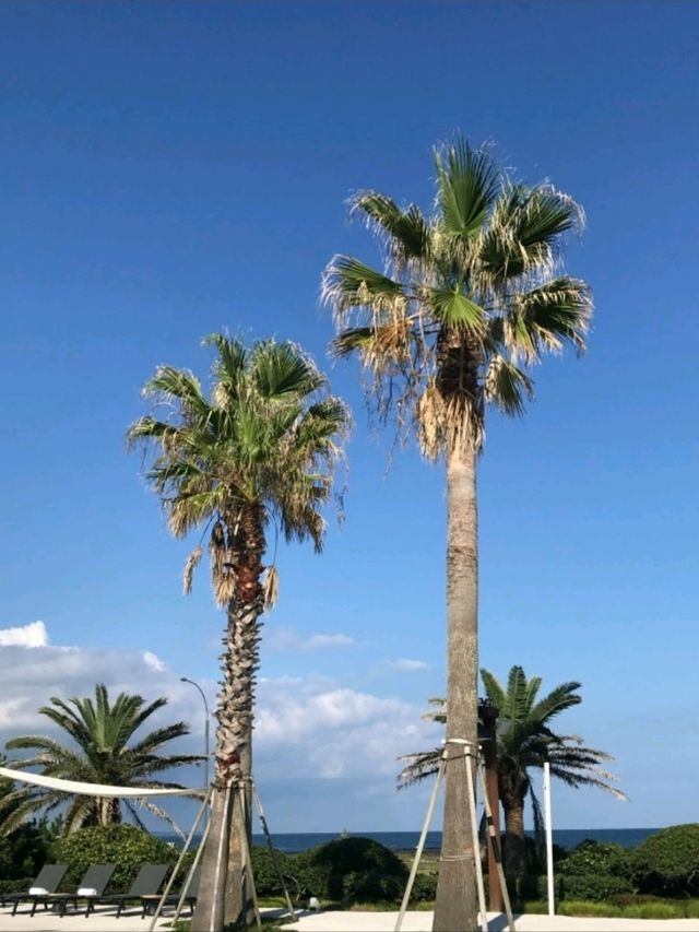 제주도 해비치 호텔 & 리조트 : 표선 바다를 품은 힐링! 🌊 제주도 해비치 호텔 & 리조트 : 표선 바다를 품은 힐링! 🌊