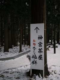 【札幌|冬季最療癒半日】北海道神宮雪參道+神宮茶屋抹茶+森彥咖啡老宅,冬日𥚃的小確幸