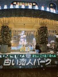 【北海道｜札幌近郊冬季限定】湯咖哩暖胃→雪中頭大佛＋復活島摩艾→白之戀人公園夜燈全亮，完美一天