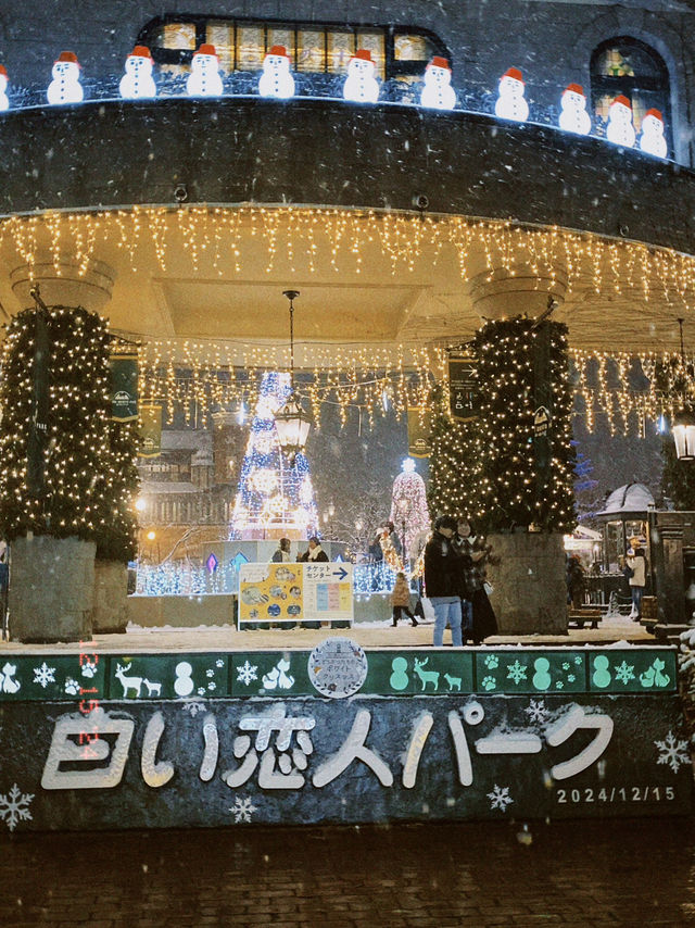 【北海道｜札幌近郊冬季限定】湯咖哩暖胃→雪中頭大佛＋復活島摩艾→白之戀人公園夜燈全亮，完美一天