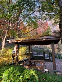 🍁아차산 산길을 걸으며