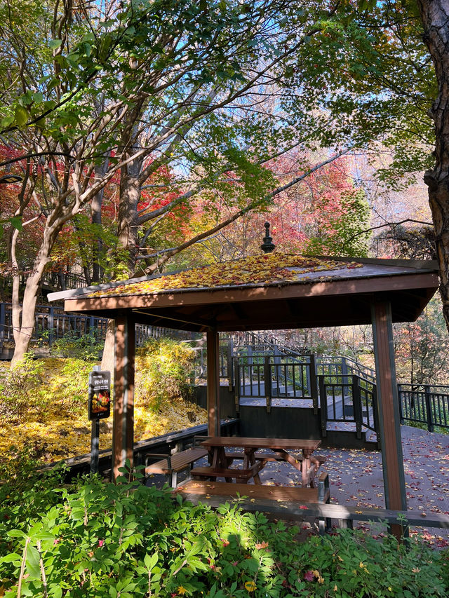 🍁아차산 산길을 걸으며