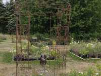 La Ferme aux Lavandes