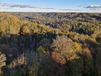 Turaida Castle Turaidas pils