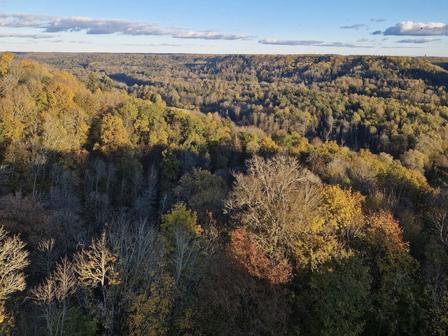 Turaida Castle Turaidas pils