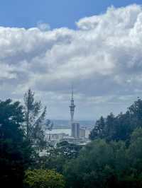 Urban Nature Spot🌳