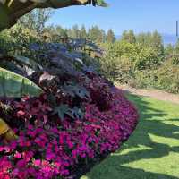 Queen Elizabeth Park