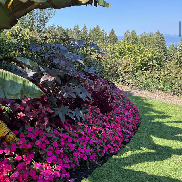 Queen Elizabeth Park Queen Elizabeth Park