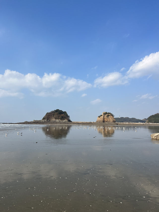 🇰🇷 리솜 아일랜드에서 즐기는 겨울 안면도 여행 가이드 🇰🇷 리솜 아일랜드에서 즐기는 겨울 안면도 여행 가이드
