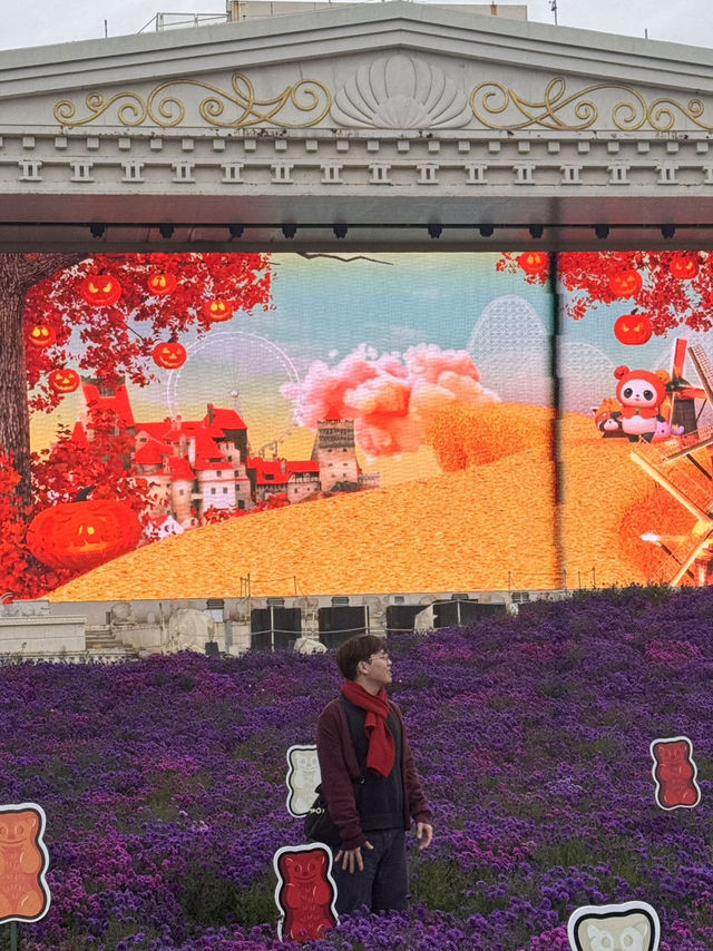 Yongin Autumn Vibes๐ Yongin Autumn Vibes๐