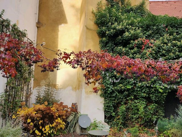 Colorful Vibes at Prague’s Iconic Lennon Wall 🎨✨ Colorful Vibes at Prague’s Iconic Lennon Wall 🎨✨