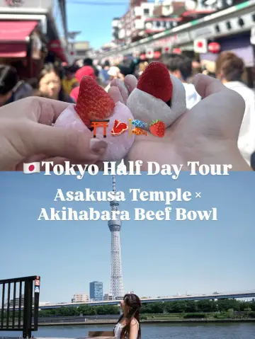 🇯🇵東京半日遊｜淺草寺求籤×秋葉原和牛丼✨經典行程全攻略