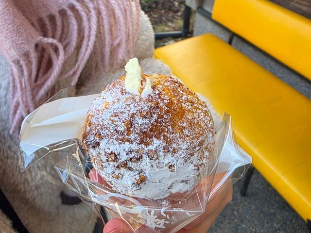 ​[구마모토 근교] 뚜벅이도 OK! 아소 산 버스 투어 & 아소 신사 맛집 '하나비시' 아카규동 먹방 🌋