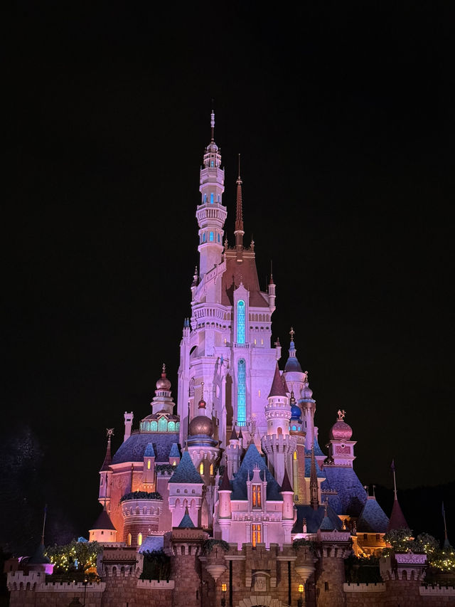 Christmas vibes in Hongkong Disneyland