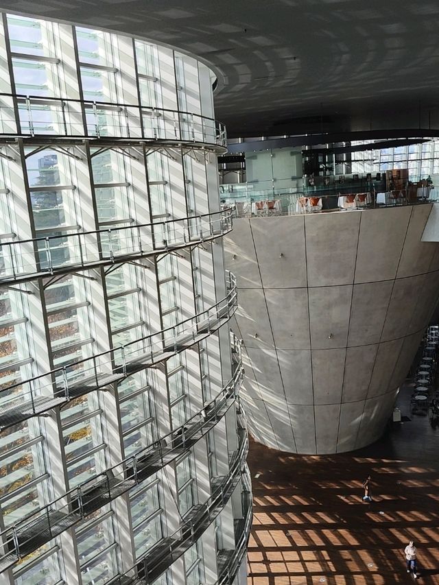 東京國立新美術館 光影與幾何之美 東京國立新美術館 光影與幾何之美