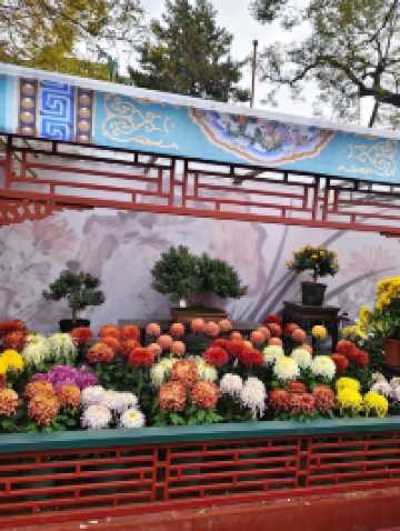 Autumn's Masterpiece in an Emperor's Garden