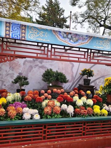 Autumn's Masterpiece in an Emperor's Garden